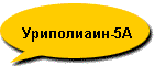 -5