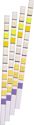 -10, -XN,  , , , , , , , , , , , , , , ,  ,  , ,  , -, ,  , , , , , , , , , ,  